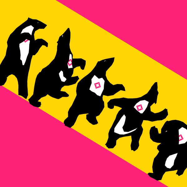 Unsere Events in Bern und Umgebung